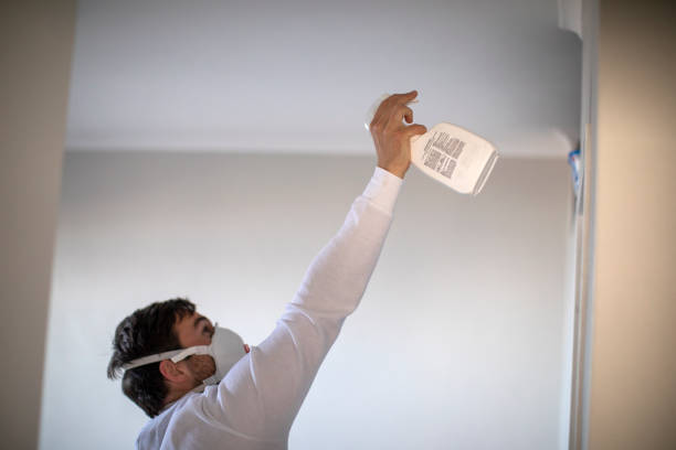 Best Attic Mold Removal  in Kalaeloa, HI