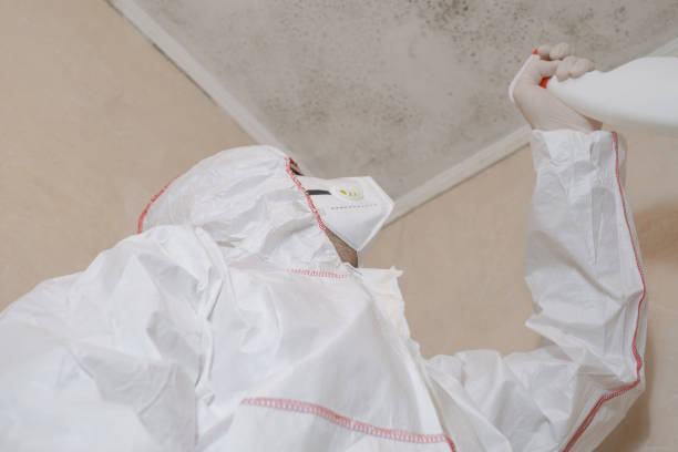 Best Mold Damage Repair  in Kalaeloa, HI
