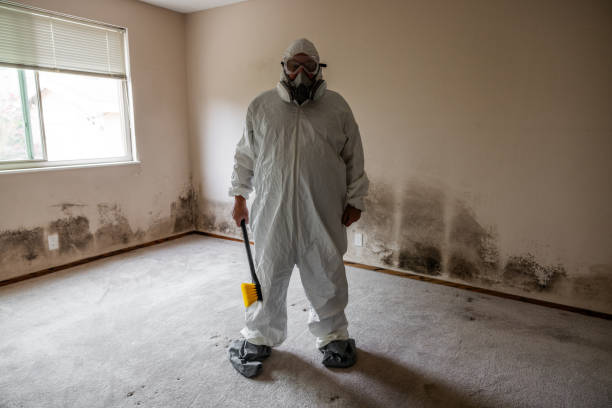 Home Mold Removal in Kalaeloa, HI